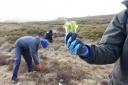 Sphagnum moss plugs are being planted to help restore peatland on Kinder Scout (National Trust/PA)