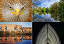 24 stunning shots of perfect symmetry in Warrington