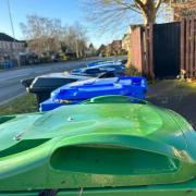 Almost 30,000 residents signed up to green bin collection service