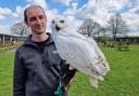 An aviary in Risley is celebrating the relaxation of restrictions that came about due to bird flu