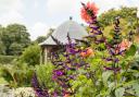 Secret gardens in Cheshire will be open to the public this summer