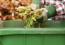 The council has given an update on green bin collections across the town