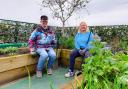 The Sky Garden has been awarded the grant to help bring people closer to nature