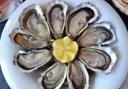 Oysters have been proven to aid fat loss.