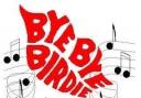 Don’t miss Bye Bye Birdie musical