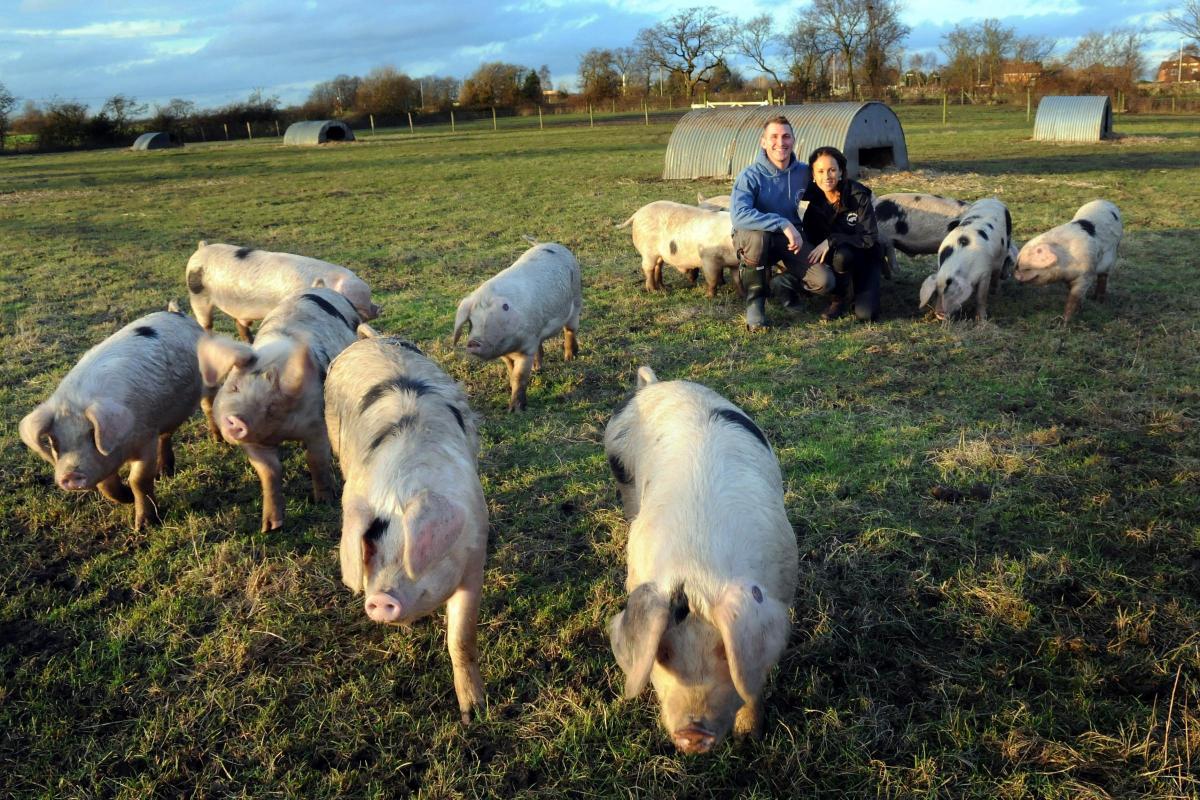 Liam and Rebecca started farming 14 years ago (Getty Images and BBC)