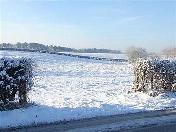 A bleak midwinter scene of a farm meadow at Grappenhall, courtesy of Raymond Cox