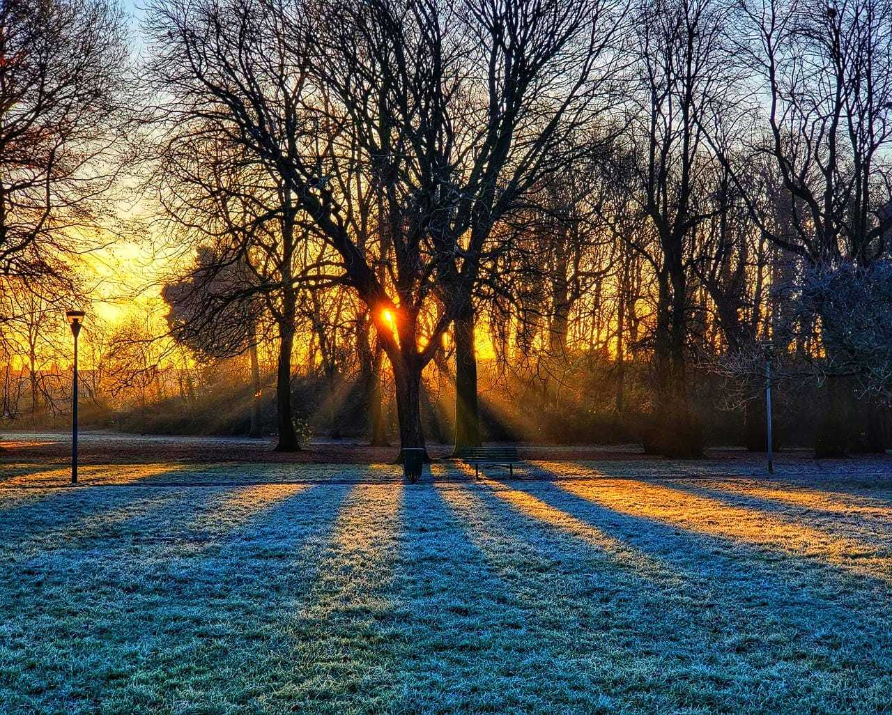 Winter morning in Orford Park by Tony Crawford