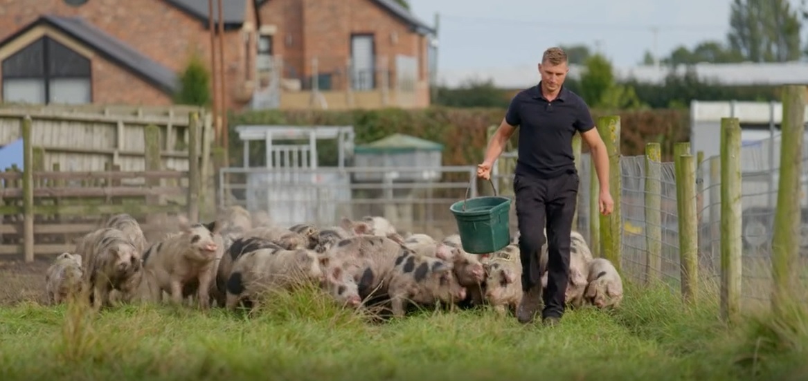 Pig feed now costs £400 per tonne compared to £180 per tonne when Liam and Rebecca first started farming (Getty Images and BBC)