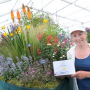 Sue Beesley, of Bluebell Cottage Gardens and Nurseries, wins a gold medal for the seventh year in a row
