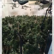 Man charged after police raid on cannabis factory in Penketh