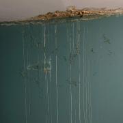 Mould in a property in Padgate has been left untreated for months by Torus Housing Group, a resident has claimed