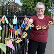 Diane Hughes with the knitted bunting at Vicarage Park (Dave Gillespie)