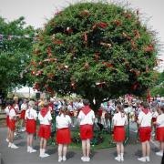 Appleton Thorn pupils danced around the thorn tree as part of the centuries-old ceremony