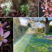 10 perfect pictures showing spring has sprung in Warrington