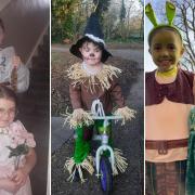 14 World Book Day photos in Warrington that made us say wow