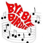 Don’t miss Bye Bye Birdie musical