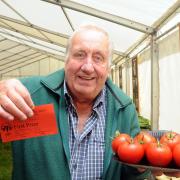 John Done with his first place tomatoes from last year's show mba140913
