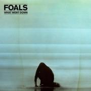 CD review: Foals - What Went Down
