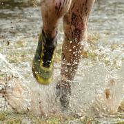 Manchester Area Cross Country League results