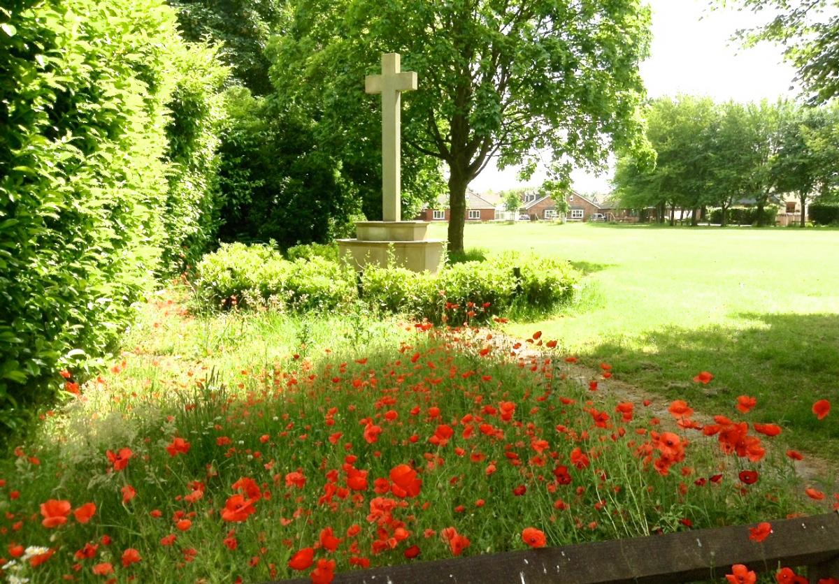 Tom McCarthy sent in this lovely picture of a path of poppies leading to the war memorial on Martinscroft Green, Woolston.
