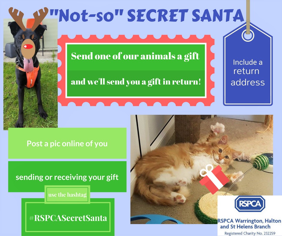 Two ways to give RSPCA Warrington animals a Christmas treat - Warrington Guardian