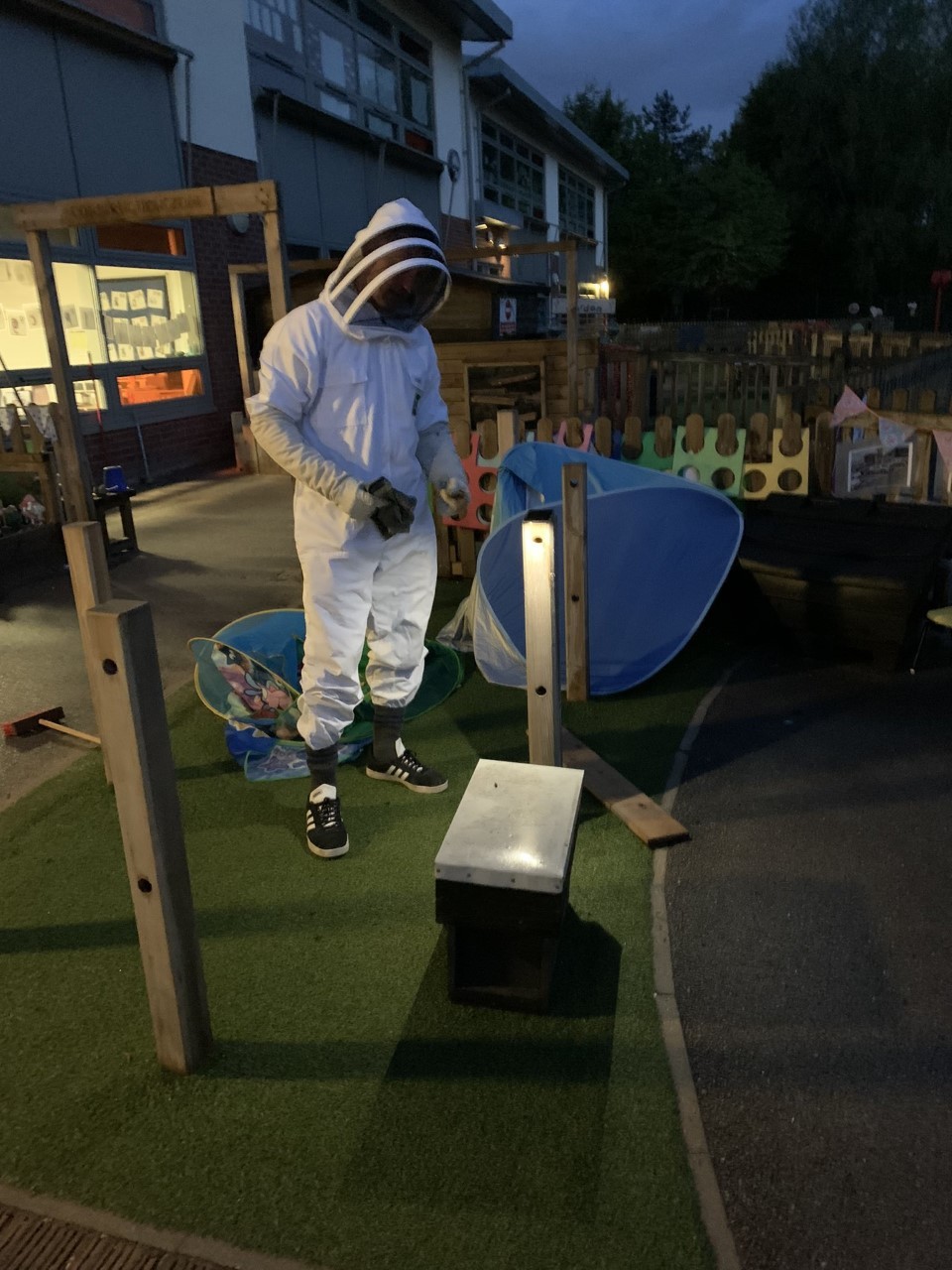Liam from Snoutwood removes the bees