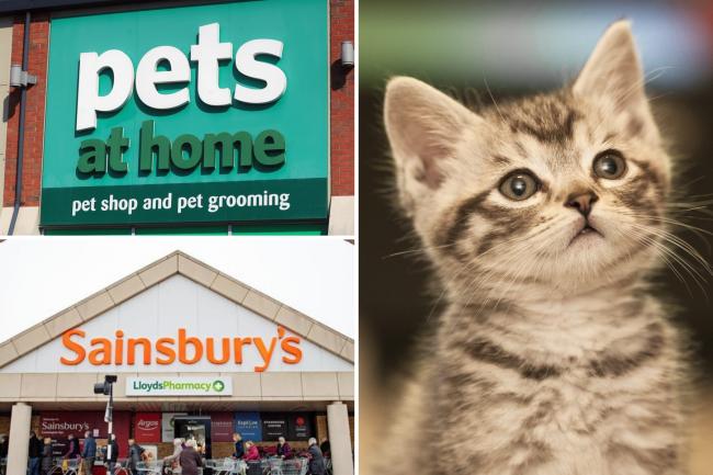 Cat food sold at Sainsbury's and Pets At Home linked to deadly illness. (PA/Canva)