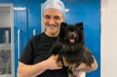 Noel Fitzpatrick - TV's Supervet - is coming to Warrington later this year