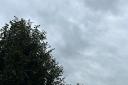 Today's grey sky