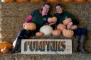 Sisters, Fiona and Alison Wilshaw are selling pink pumpkins at their family farm in Croft this year