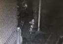 Bungling burglars go viral after attempts to climb fence caught on camera
