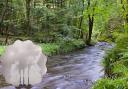 The Office for National Statistics has revealed the levels of CO2 and percentage of woodland in Cheshire (John Millar/National Trust/PA/Canva)