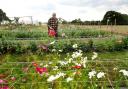 A flower farming event will take place on Saturday, September 24 in Thelwall