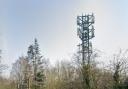 The phone mast for Grappenhall and Thelwall is set to receive new antennas to bring 5G connectivity to the area. Picture: Google Maps