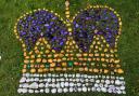 Lymm Rocks came together to paint more than 400 individual rocks in order to form a Coronation Day display