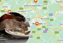 Thousands of rat infestations have been reported in Warrington since 2020