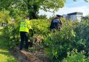 Cheshire Constabulary completed a sweep of Bank Park in search of knives