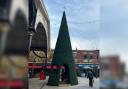 Christmas trees have been spotted in the centre of Warrington