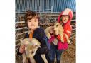 You can experience lambing season at this family run farm in Warrington