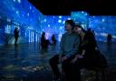 Immersive Van Gogh art attraction comes to Merseyside this summer
