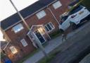A deer was spotted racing through a housing estate in Great Sankey