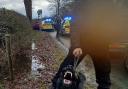 Police dog helped officers locate suspect armed with weapon in Warrington