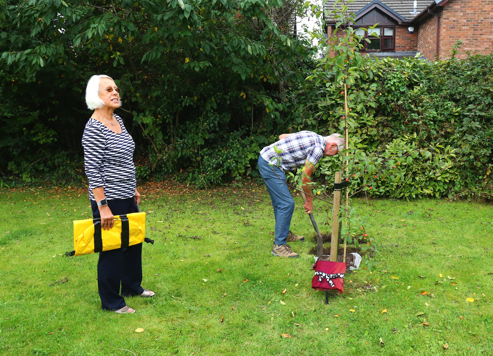 And the tree is planted Pictures: Steve Grimshaw