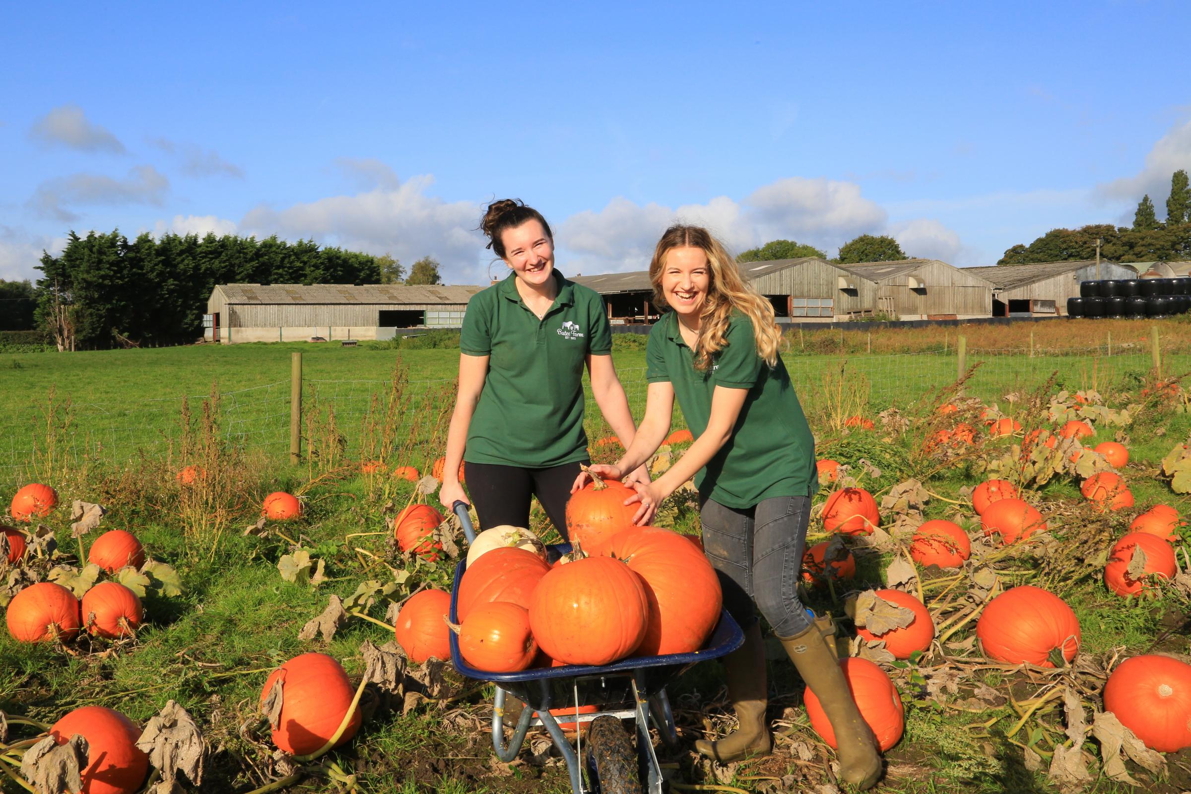 The sisters cannot wait for pumpkin picking season to return - Pictures: Brian Touhey Photography