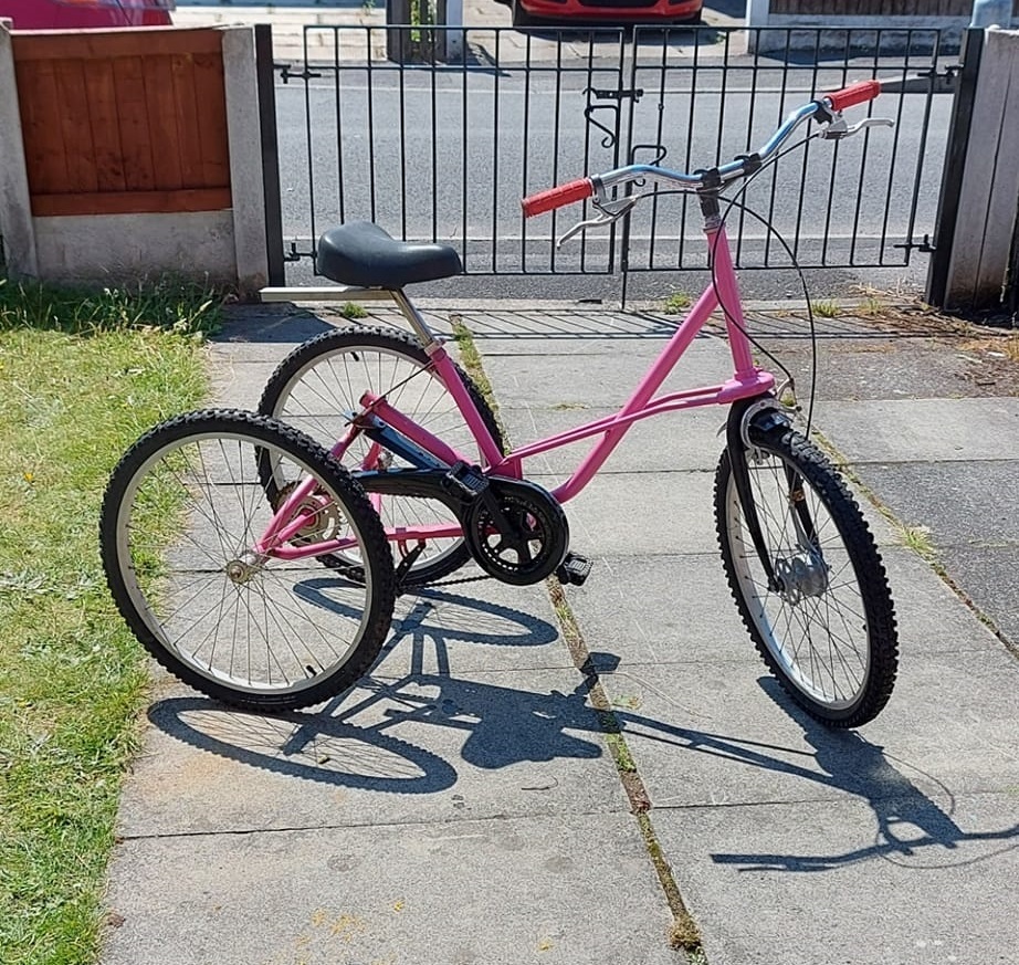 Jo Knibb is appealing for help after her disability trike was stolen