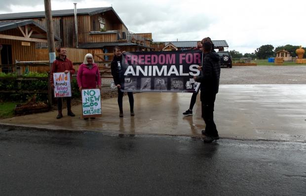 Warrington Guardian: Активисты по защите животных устроили акцию протеста на ферме Бидли на Твелмлоу-лейн, где должен открыться новый зоопарк.