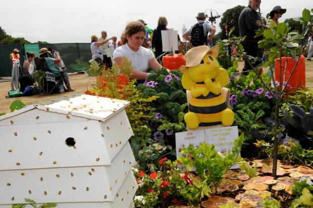 Warrington Guardian: Mia Lonsdale tends the flowers chosen to attract bees and butterflies