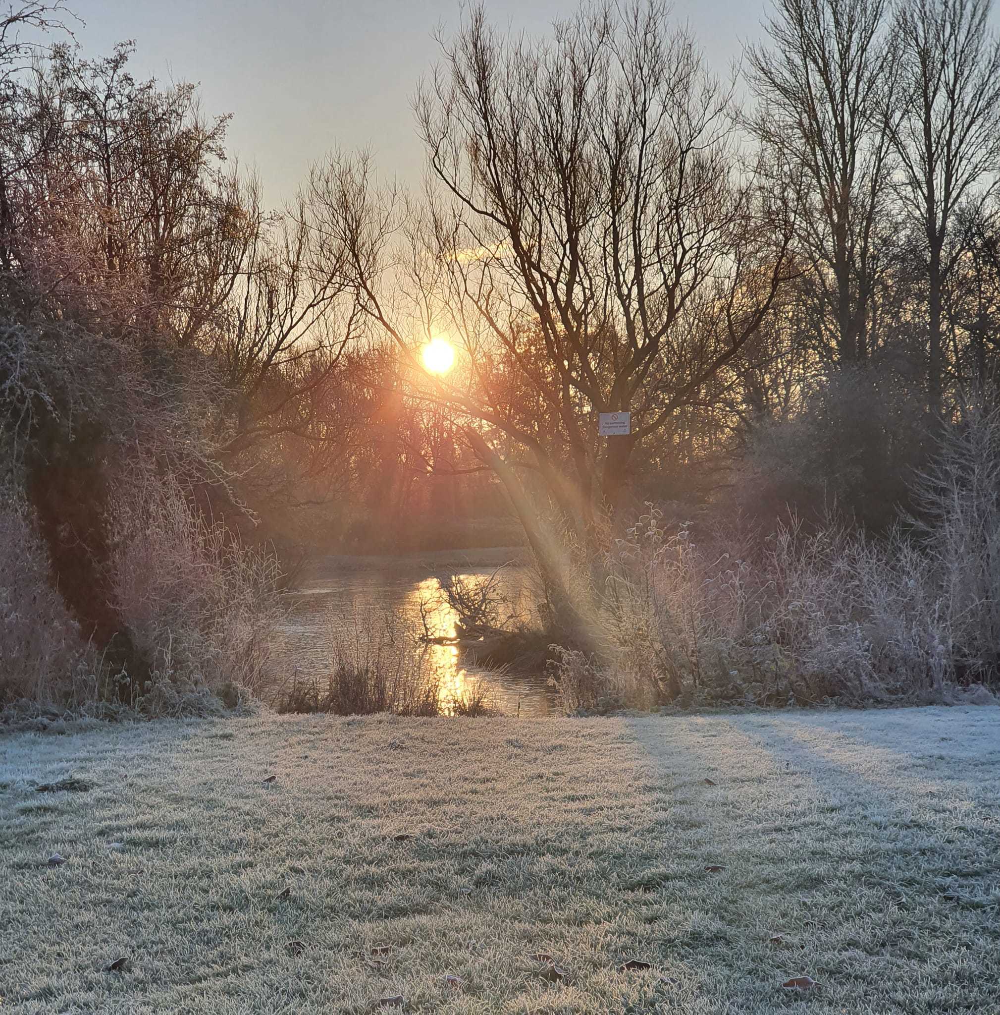 A frosty walk at sunrise by Catherine Melton