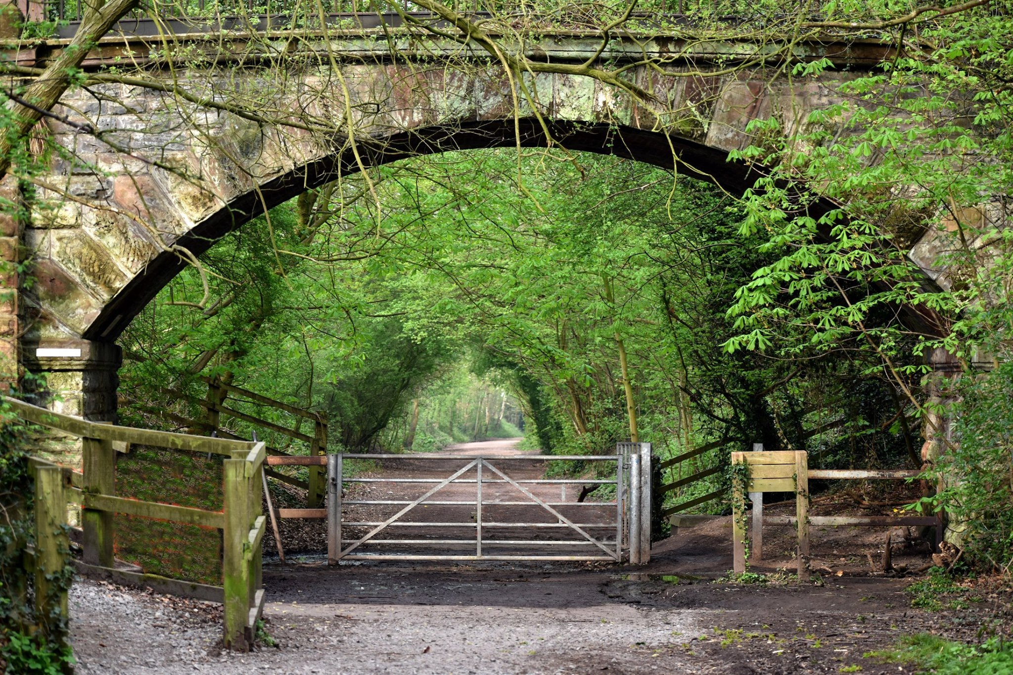 The Trans Pennine Trail (Image Tanya Wightman)